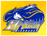 logo-page-2-yellow-b